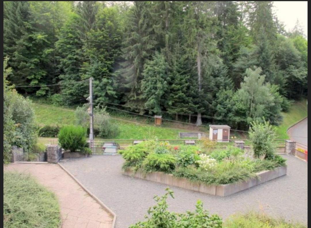 Studio Le Manet Διαμέρισμα Le Hohwald Εξωτερικό φωτογραφία